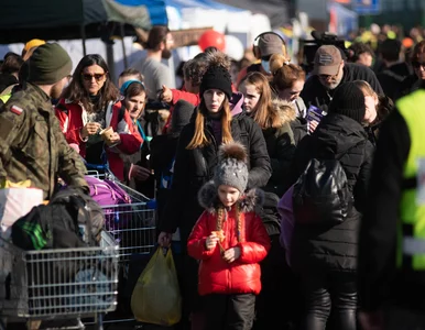 Miniatura: Obawy związane z falą uchodźców. Prof....
