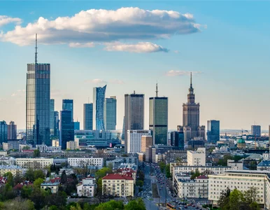 Miniatura: Syndycy – architekci drugiego życia firm