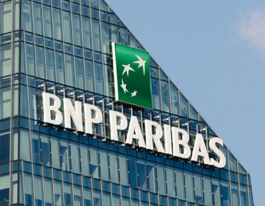 Prezes BNP Paribas: Sektor bankowy jest poharatany i osłabiony