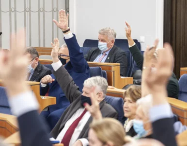 Miniatura: Większe pieniądze na dodatek osłonowy....