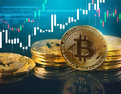 Miniatura: Zmiany na rynku bitcoin. Jak się do nich...
