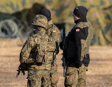 Miniatura: Ekspert: Polscy żołnierze używają...