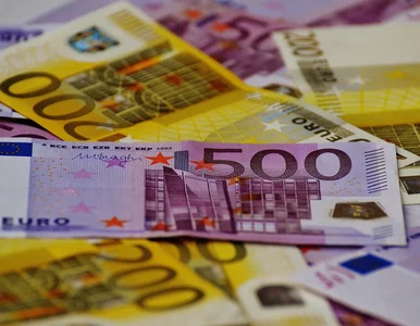 Miniatura: Co warto wiedzieć o euro?