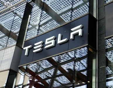 Miniatura: Elon Musk: Tesla produkowana w Berlinie...