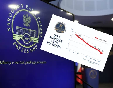 Miniatura: Manipulacja NBP? Tłumaczymy kontrowersyjny...