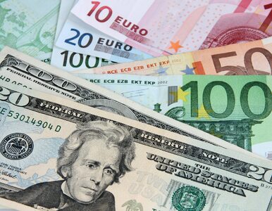 Za słaby dolar i za mocne euro. Rynki reagują na wahania kursów walut