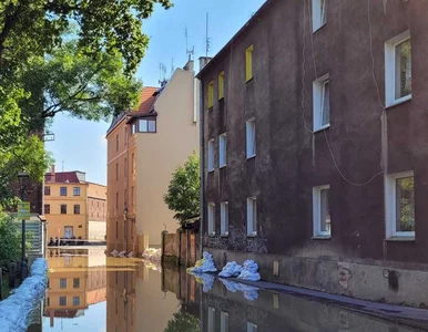 Miniatura: Ile będzie nas kosztowała powódź? Jest...