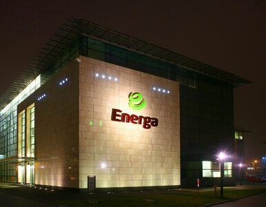 Miniatura: Energa i Enea nie będą finansować budowy...