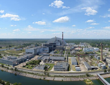 Miniatura: Dziesiątki pożarów wokół Czarnobyla. Co z...