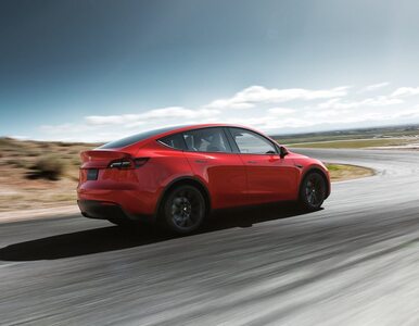 Miniatura: Tesla: „Autonomicznych aut nie będzie....