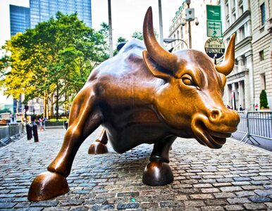 Wall Street znowu zwyżkuje. Największe indeksy z rekordami