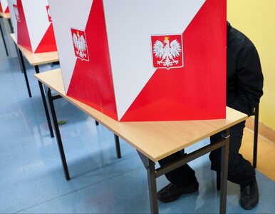Miniatura: Hakerzy „zmiażdżyli” polskie wybory? Tym...