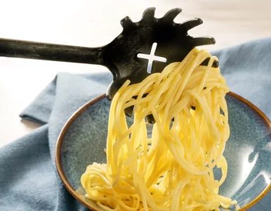 Miniatura: Miarka się przebrała. Włosi strajkują, bo...