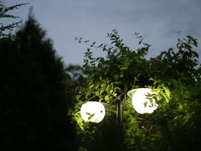 Miniatura: Ciemna strona darmowego światła. Lampy...