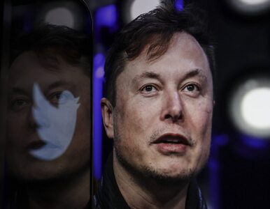 Miniatura: Elon Musk kupił Twittera, ale zanim coś...
