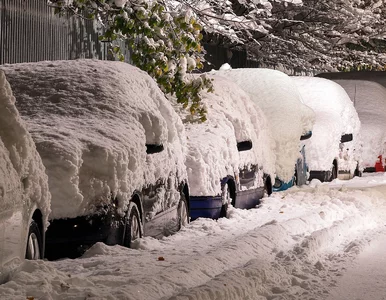 Miniatura: Odśnieżanie samochodu. Za takie ułatwienie...