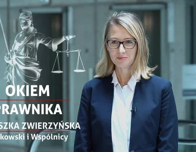 Miniatura: Procedura rejestracji praw własności...