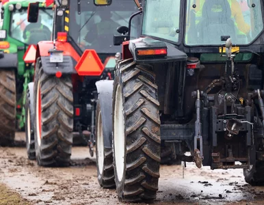 Miniatura: Protest rolników w całej Polsce. Jeden...