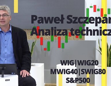 Miniatura: Paweł Szczepanik przedstawia: WIG, WIG20,...