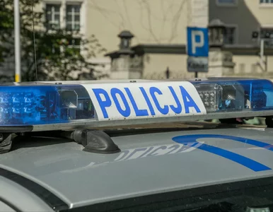 Miniatura: Nawet 9,3 tys. zł na rękę po liceum....