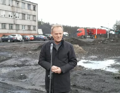 Miniatura: Tusk: Węgiel z Rosji ciągle do Polski...