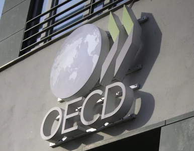 Miniatura: OECD podnosi prognozę wzrostu polskiego...