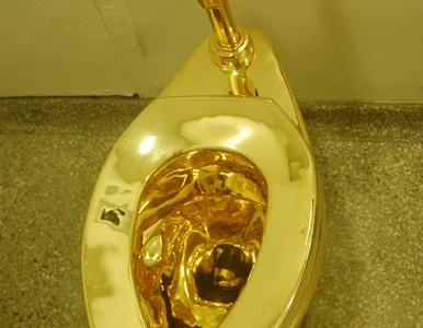 Miniatura: Zuchwała kradzież z pałacu. Do dziś nie...