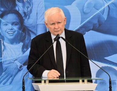 Miniatura: Kaczyński wydał oświadczenie po...