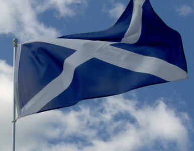 "Niepodległość Szkocji może być kosztowna dla jej obywateli"