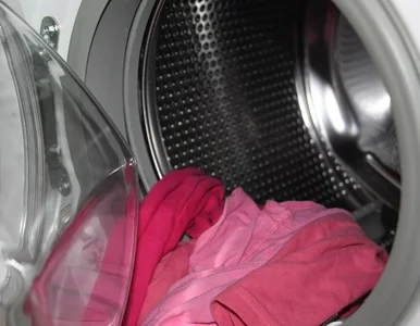 Miniatura: Kapsułki do prania zatruwają wodę? Badania...