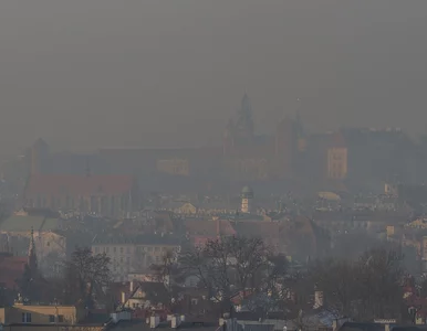 Miniatura: Radni PiS naciskają w sprawie uchwały...