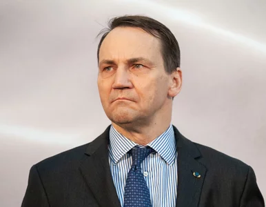Miniatura: Unijny wypas. Dwóch Polaków wśród...