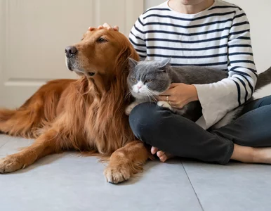 Miniatura: Katastrofa demograficzna? Więcej Polaków...