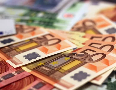 Miniatura: Euro – kurs, księgowanie i prognozy