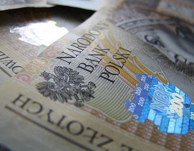 Miniatura: Polska zapłaci 10 miliardów złotych za...