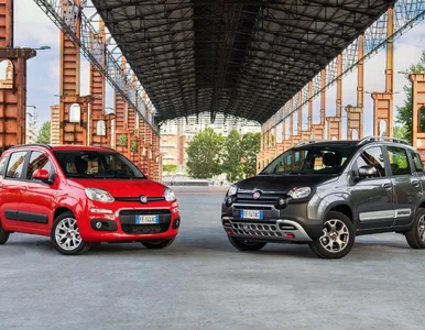 Miniatura: Smutny koniec małych Fiatów