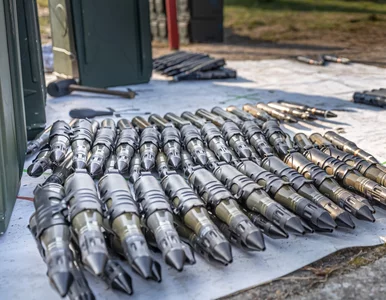 Miniatura: Polska Grupa Zbrojeniowa dostarczy...