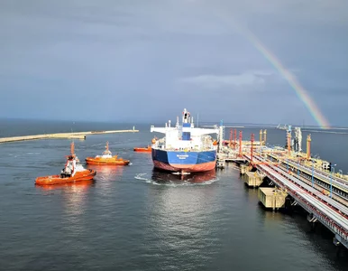 Miniatura: Polski detoks pomaga Niemcom wyjść z...