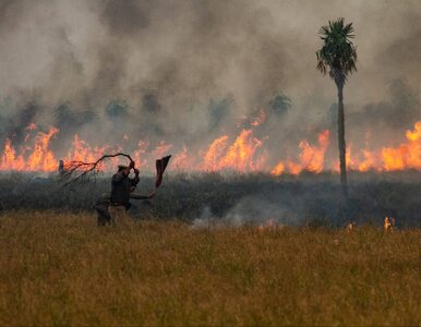 Miniatura: Pożar w Argentynie. Miliony osób bez prądu