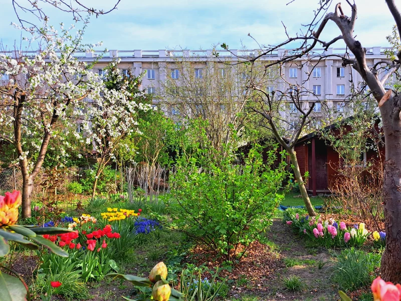 Działki ROD już w cenie mieszkań. Wcale nie w Warszawie