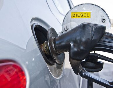 Zużycie paliw wzrośnie w tym roku o 2-3 proc.