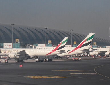 Miniatura: Lotnisko w Dubaju dotychczasowe kontrole...