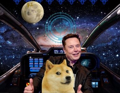 Miniatura: Dogecoin znów wystrzelił przez Elona...