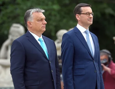 Miniatura: Kosztowne weto. Tylko na Funduszu Odbudowy...