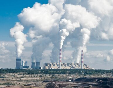 Ceny prądu i emisji CO2. Padł kolejny rekord, fatalne wieści dla Polski