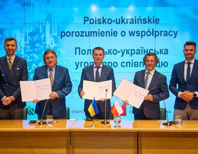 Miniatura: Polsko-ukraińskie porozumienie o...