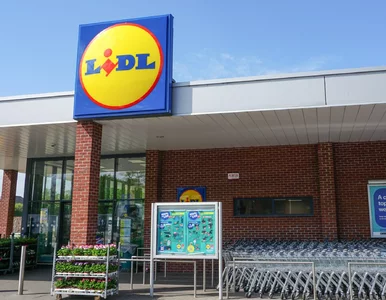 Miniatura: Lidl lepszy od Biedronki.  Opublikowano...