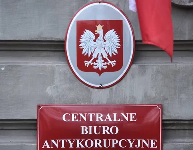 Miniatura: Usiłował wyłudzić z resortu rozwoju 7 mln...