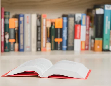 Miniatura: Te 10 książek pokochali Polacy. „Pierwsze...