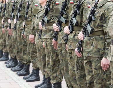 Miniatura: Korupcja w polskiej armii. Żołnierze i...